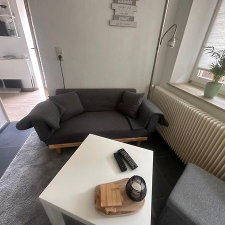 פלטנברג Sauerlandapartment Emely מראה חיצוני תמונה