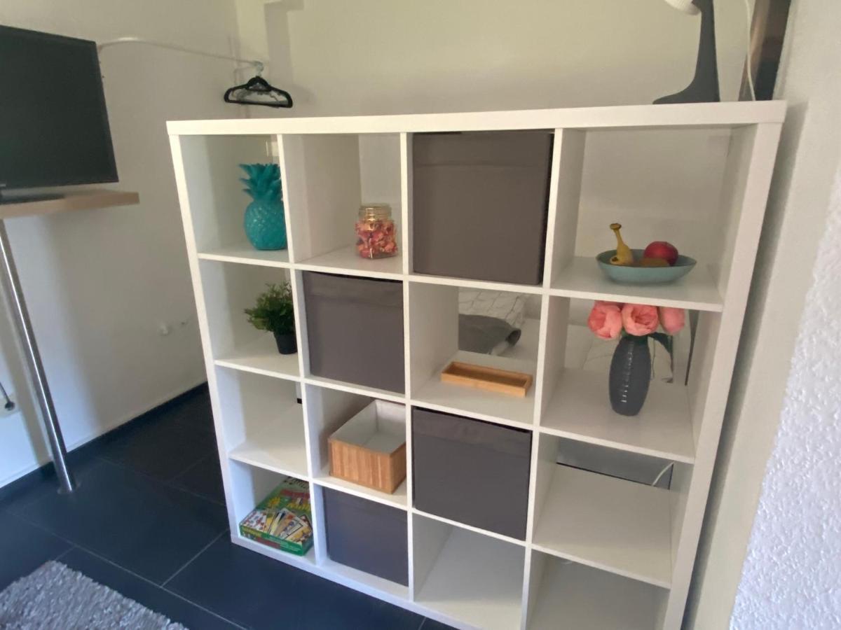 פלטנברג Sauerlandapartment Emely מראה חיצוני תמונה