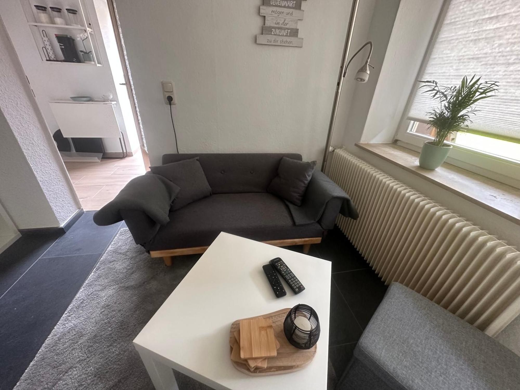 פלטנברג Sauerlandapartment Emely מראה חיצוני תמונה