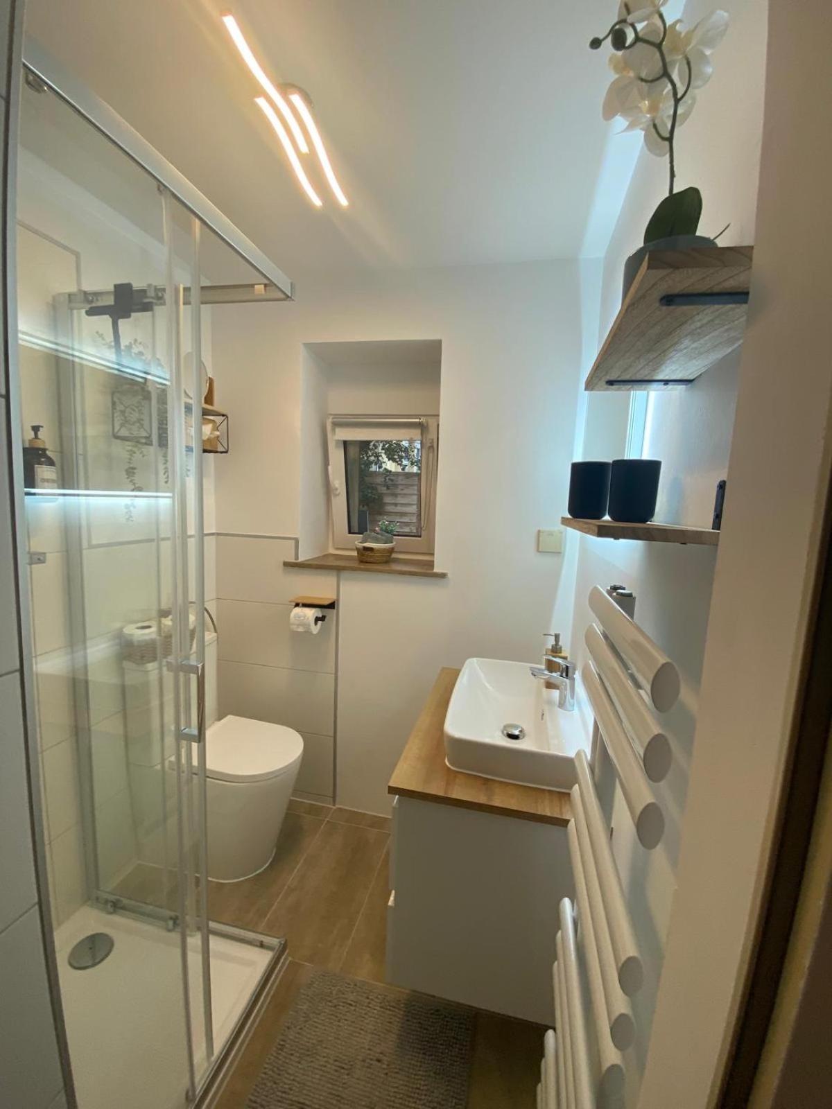 פלטנברג Sauerlandapartment Emely מראה חיצוני תמונה